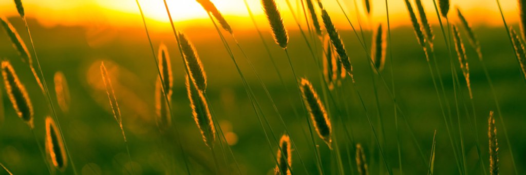 The Day I Lost&nbsp;Summer